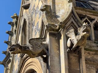 20260319 143528 IMG 3690