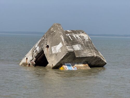 20260320 132447 IMG 3705