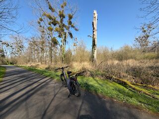 20260322 122419 IMG 0146