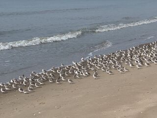 20260323 141232 IMG 3819