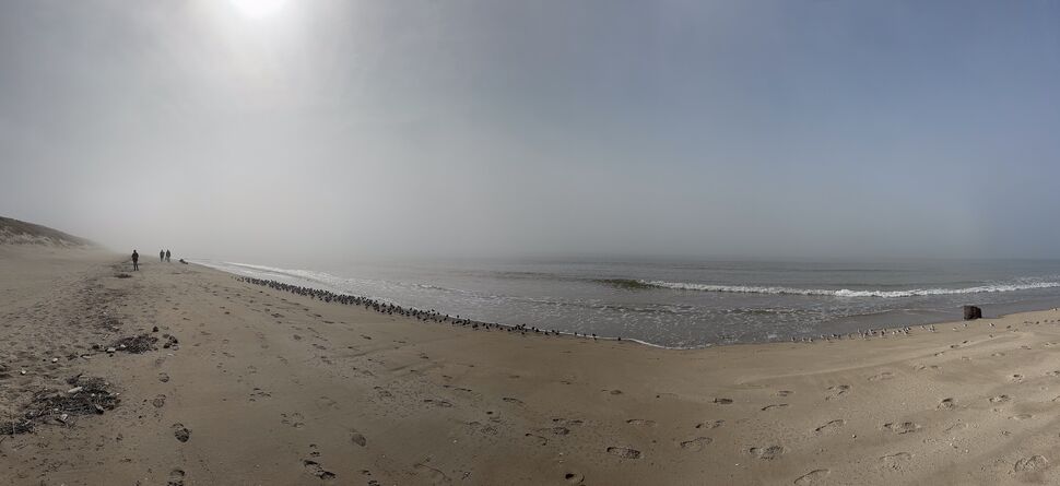 20260323 141324 IMG 3820