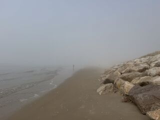 20260323 154108 IMG 3829