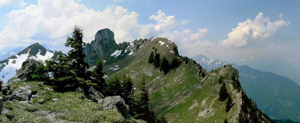 Schynige Platte